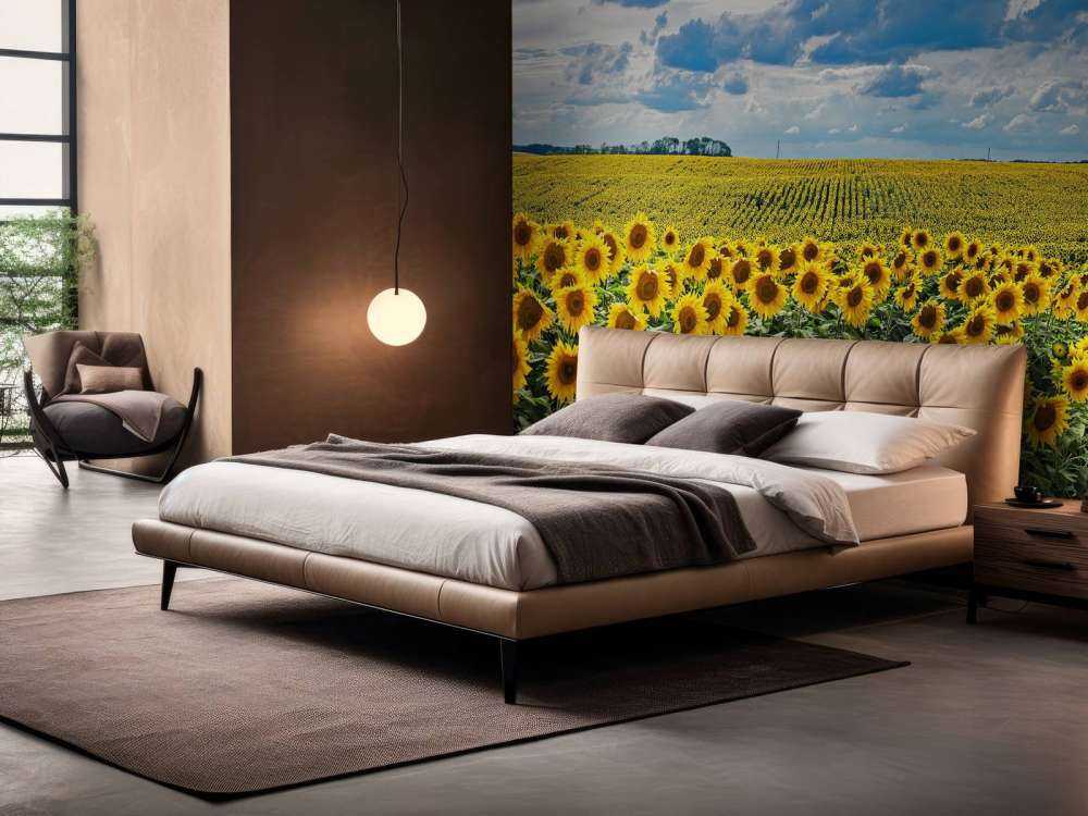 Weiland vol zonnebloemen