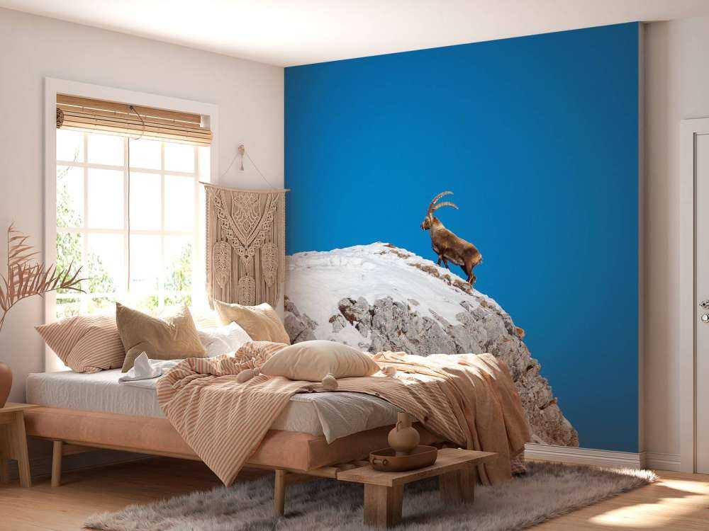 Steenbok op besneeuwde rotspiek