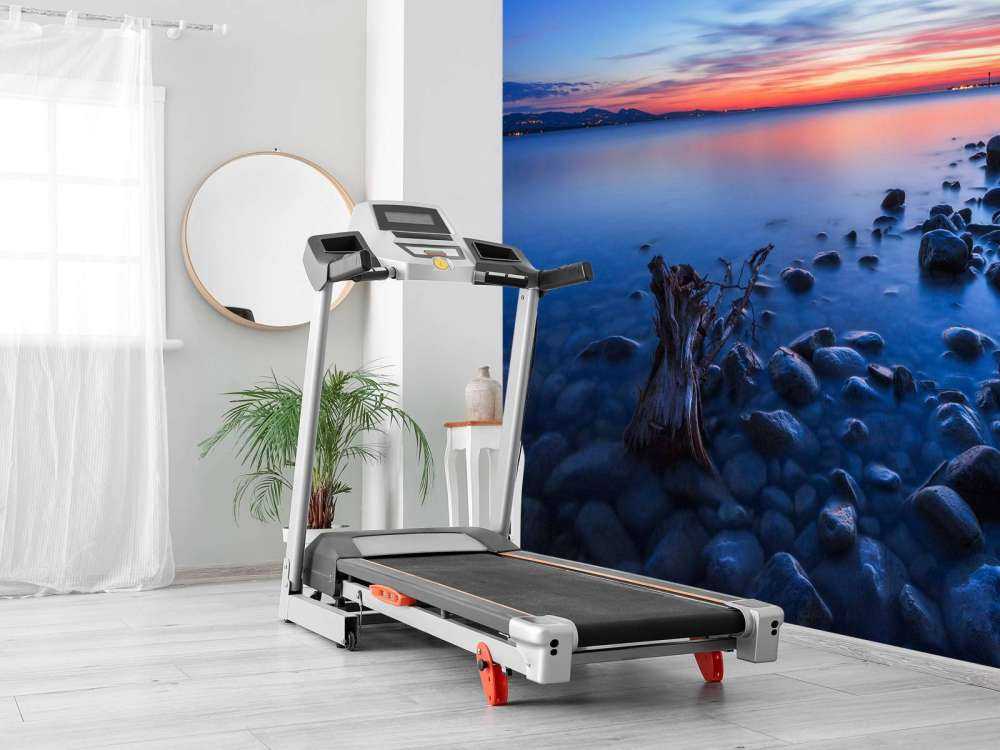 Rotsige oever bij avondlicht