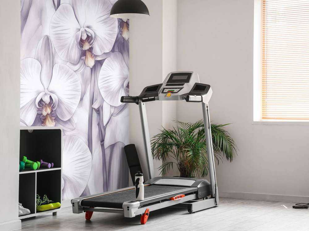 Orchids Paradise Purple