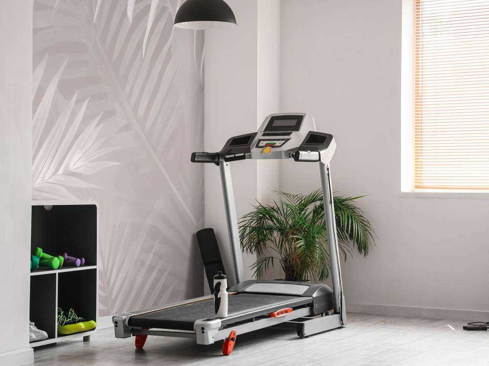 Foggy palm leaves Pink