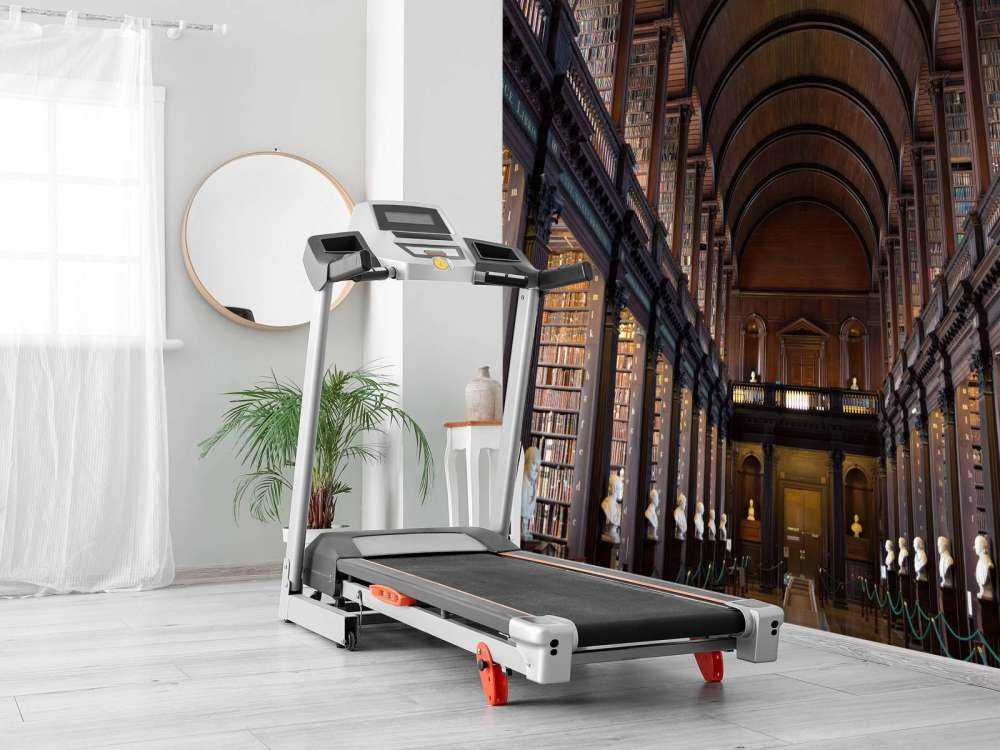 Klassieke Boekenzaal met Bogen