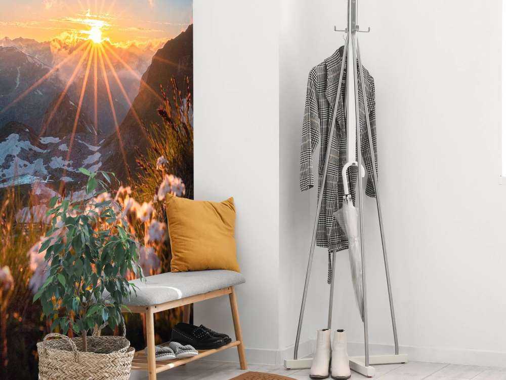 Zonlicht over alpenweide