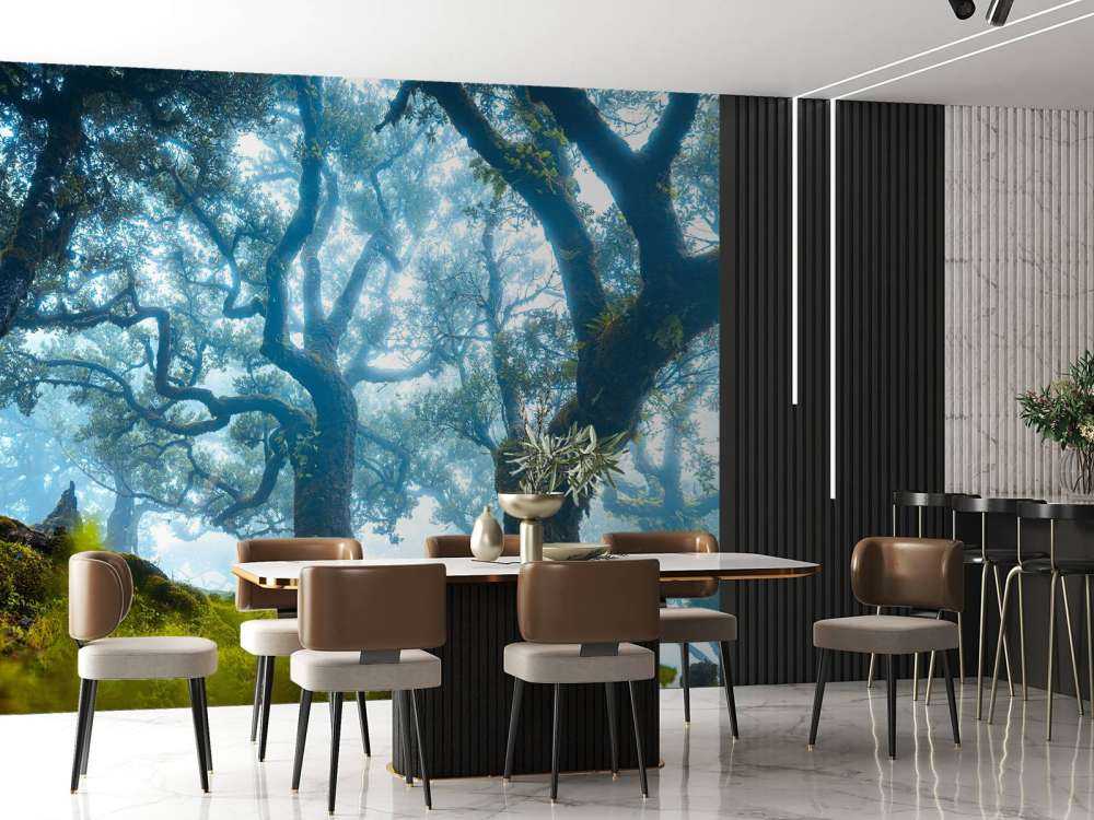 Sprookjesbos in ochtendmist