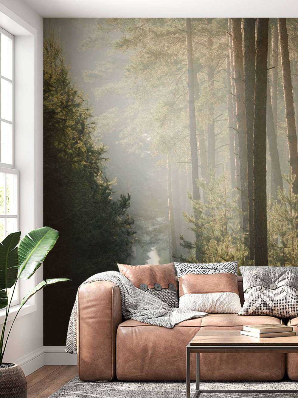 Lichtspel in het Dennenbos