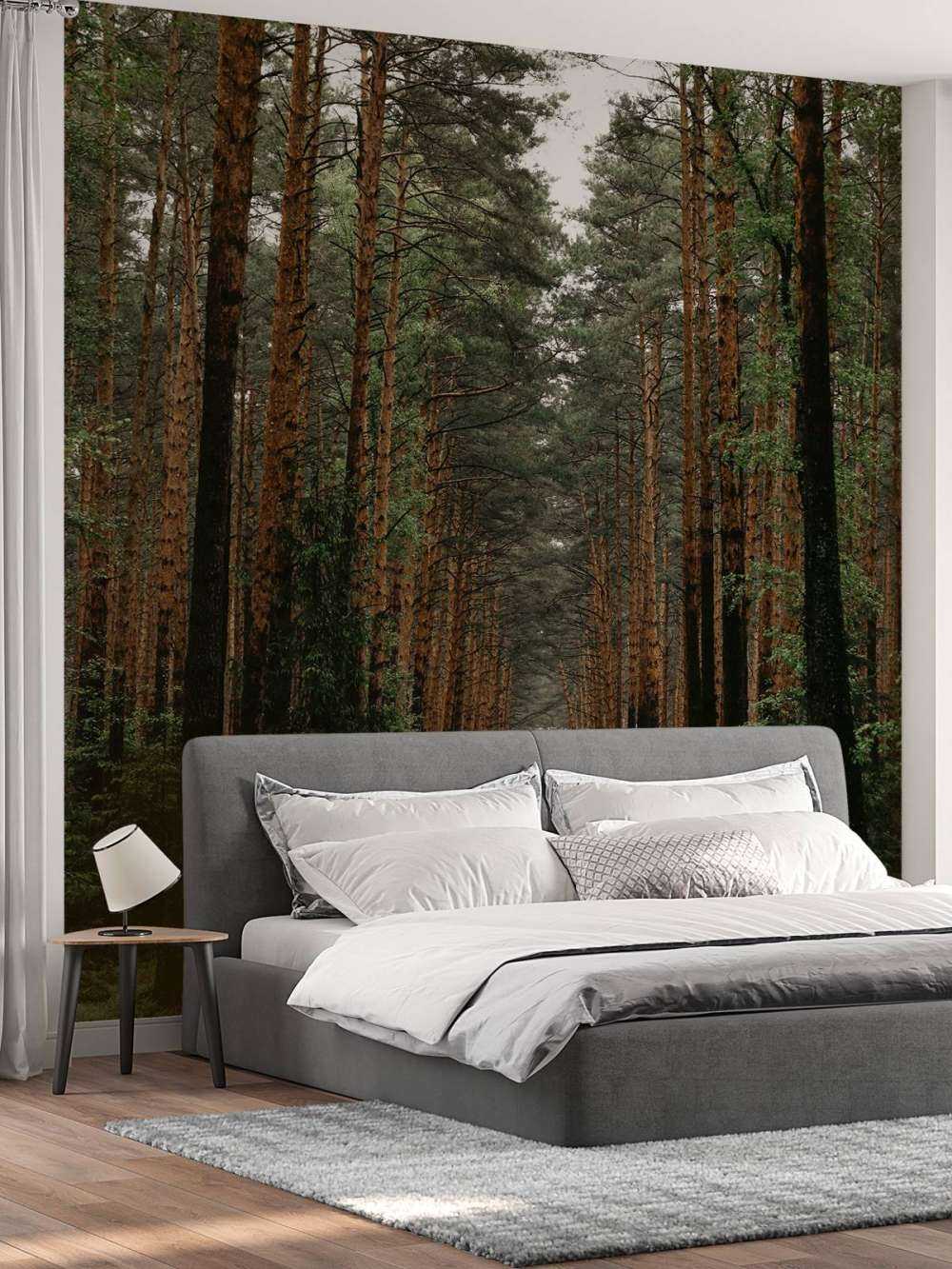 Symmetrie van het Woud