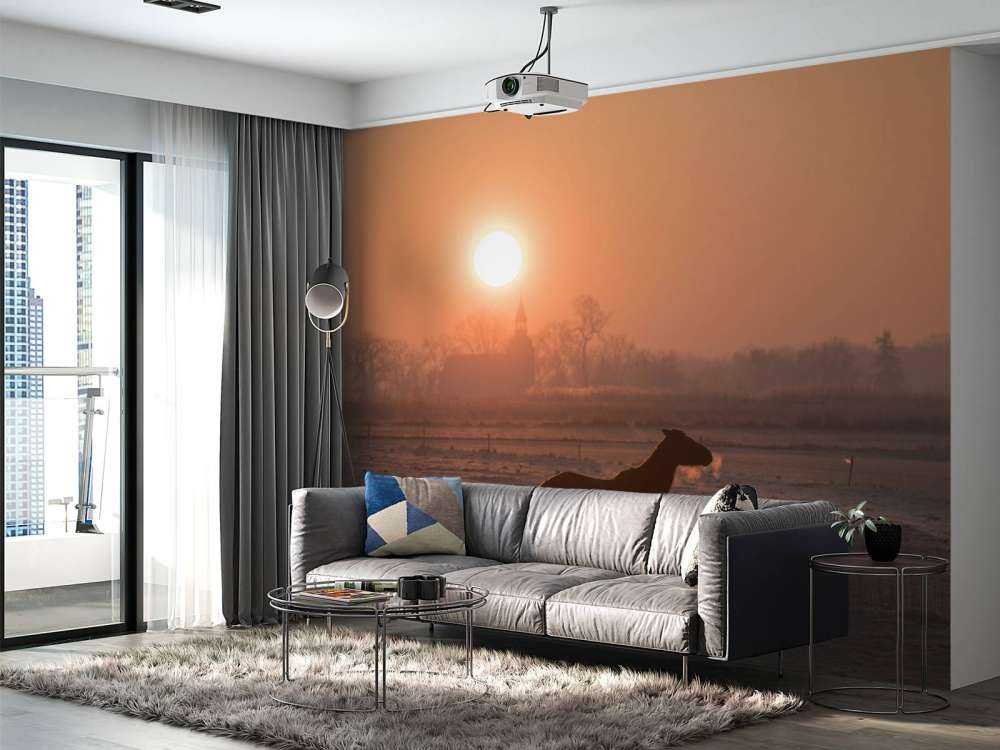 Paard in de Ochtendgloed