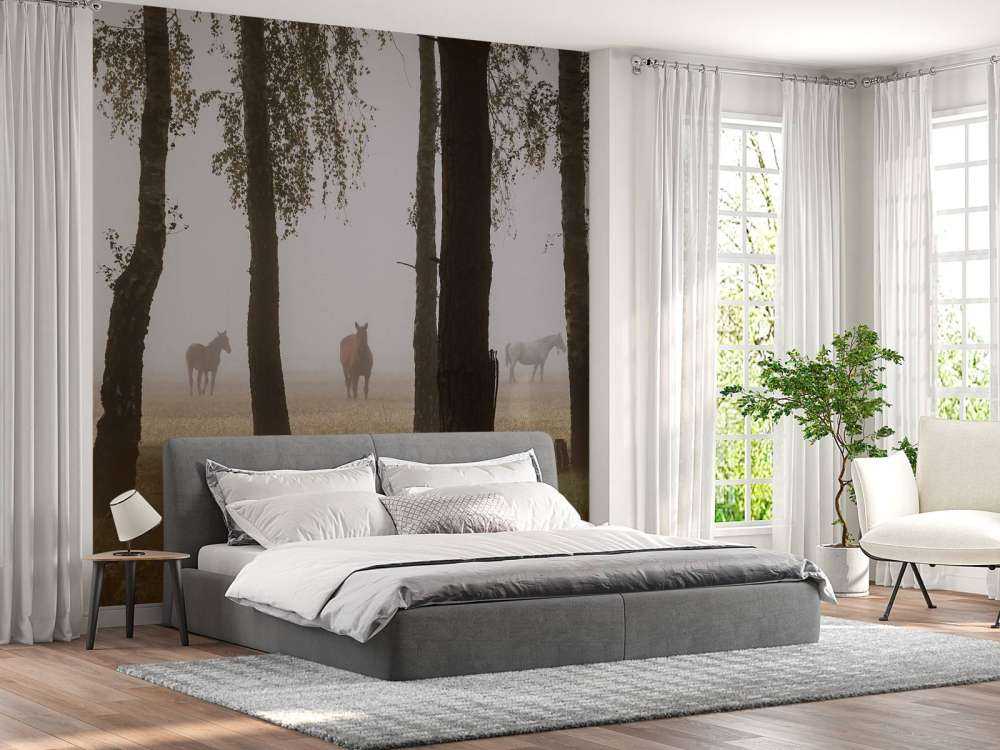 Paarden in de Ochtendnevel