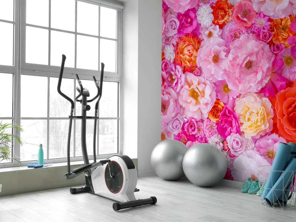 Full frame of variety of garden roses, flower background