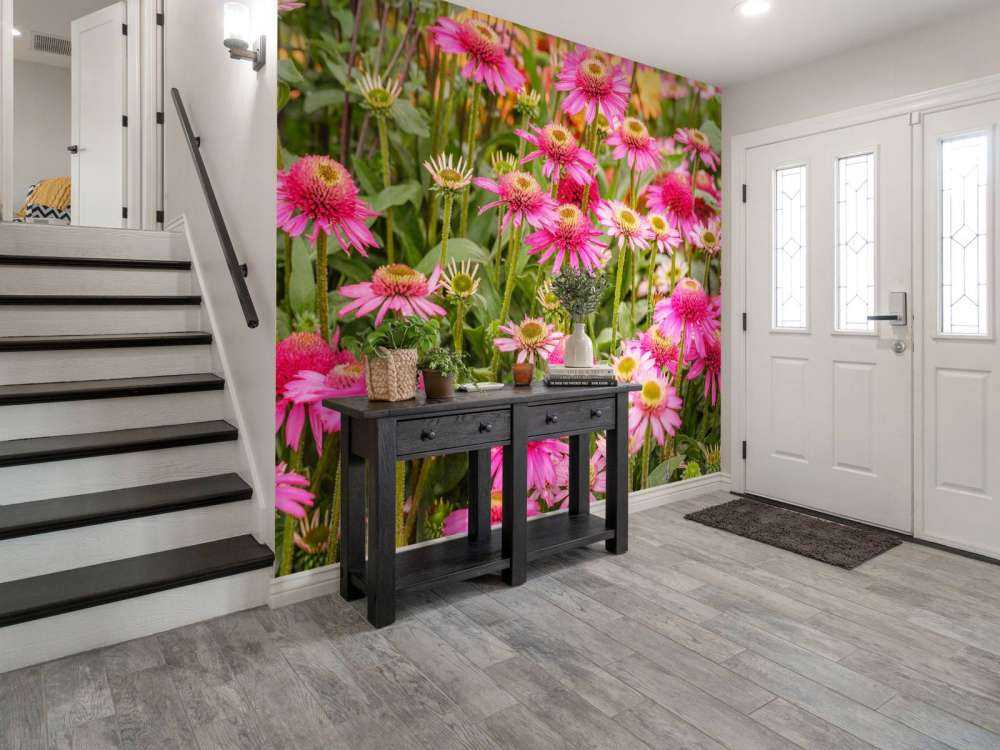 Coneflowers in garden