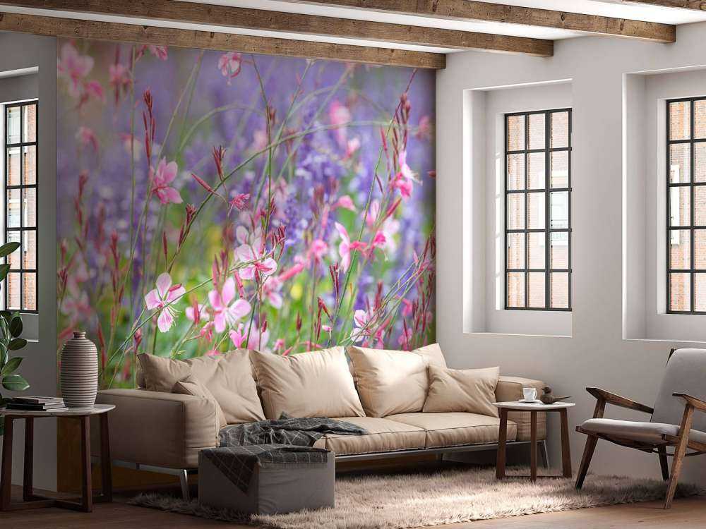 Yellow meadow flowers