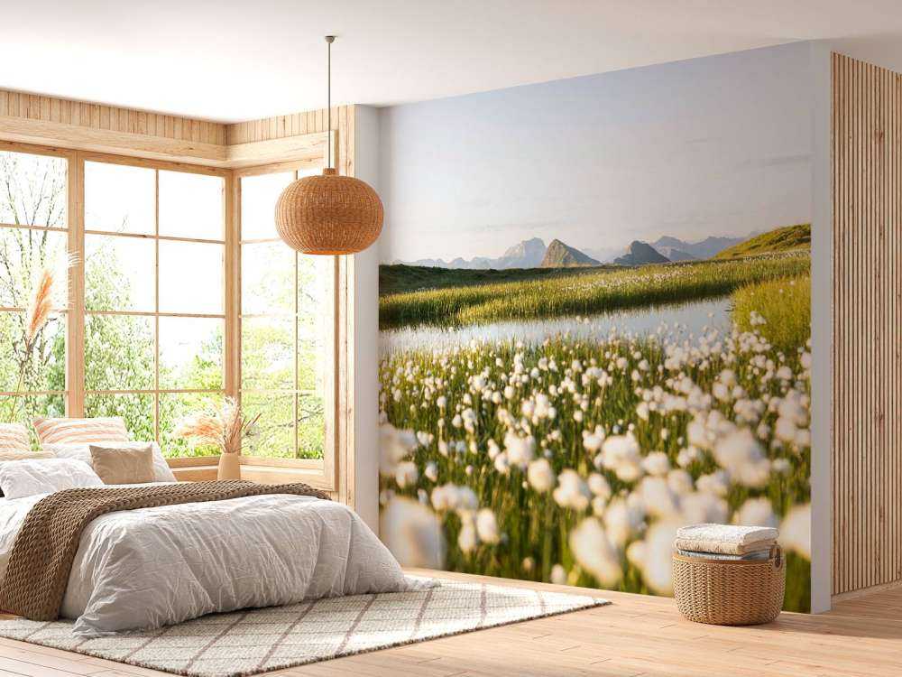 Zomerlicht over bloemrijk veenlandschap