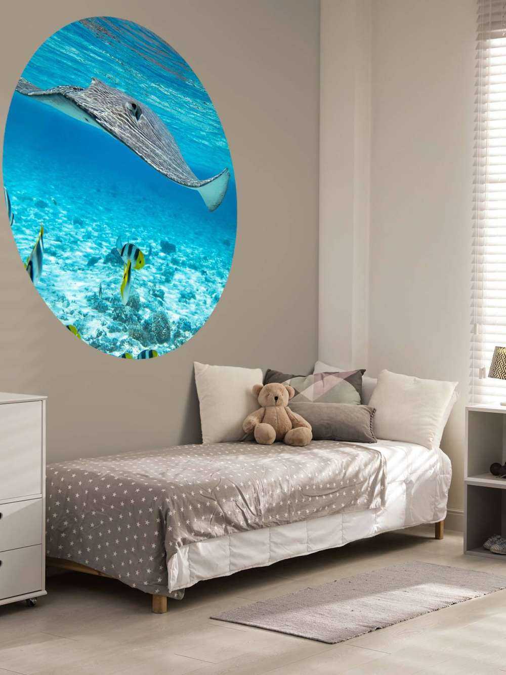 Pijlstaartrog tussen koraalvissen