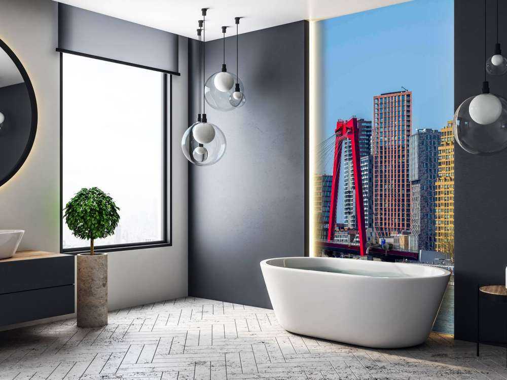 Willemsbrug en Rotterdamse Skyline