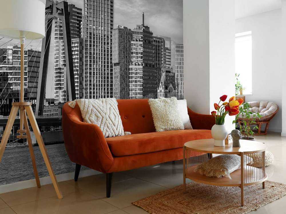 Zwart-Wit Skyline met Willemsbrug