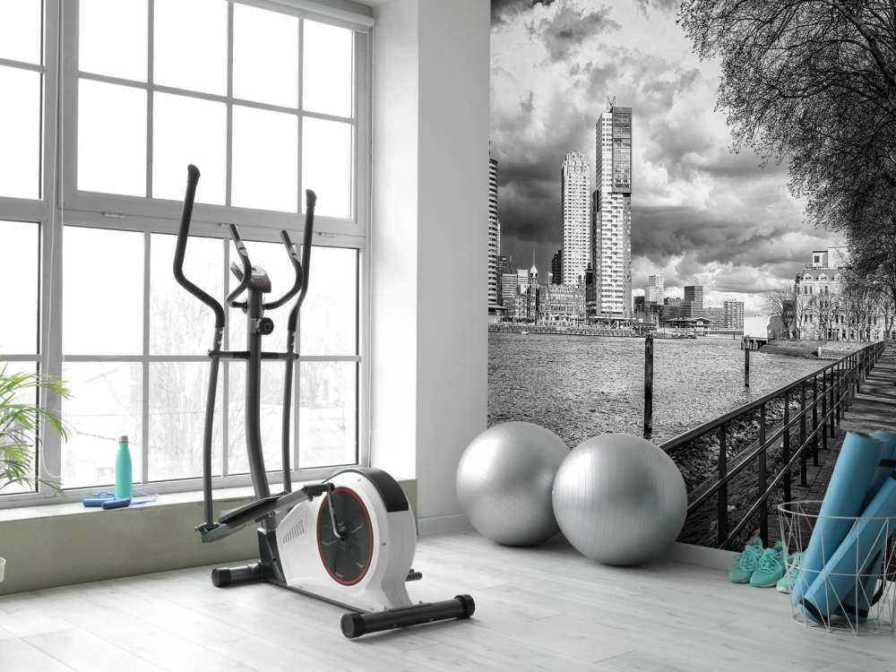 Zwart-Wit Skyline vanaf de Kade