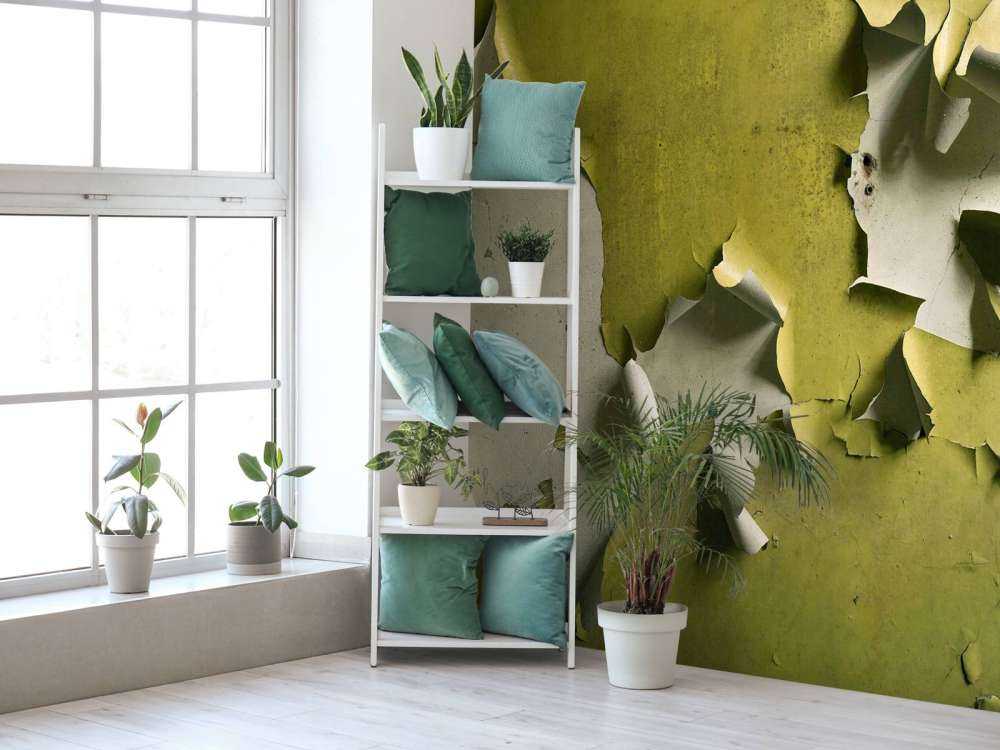 Afladderende Verf op Groene Muur