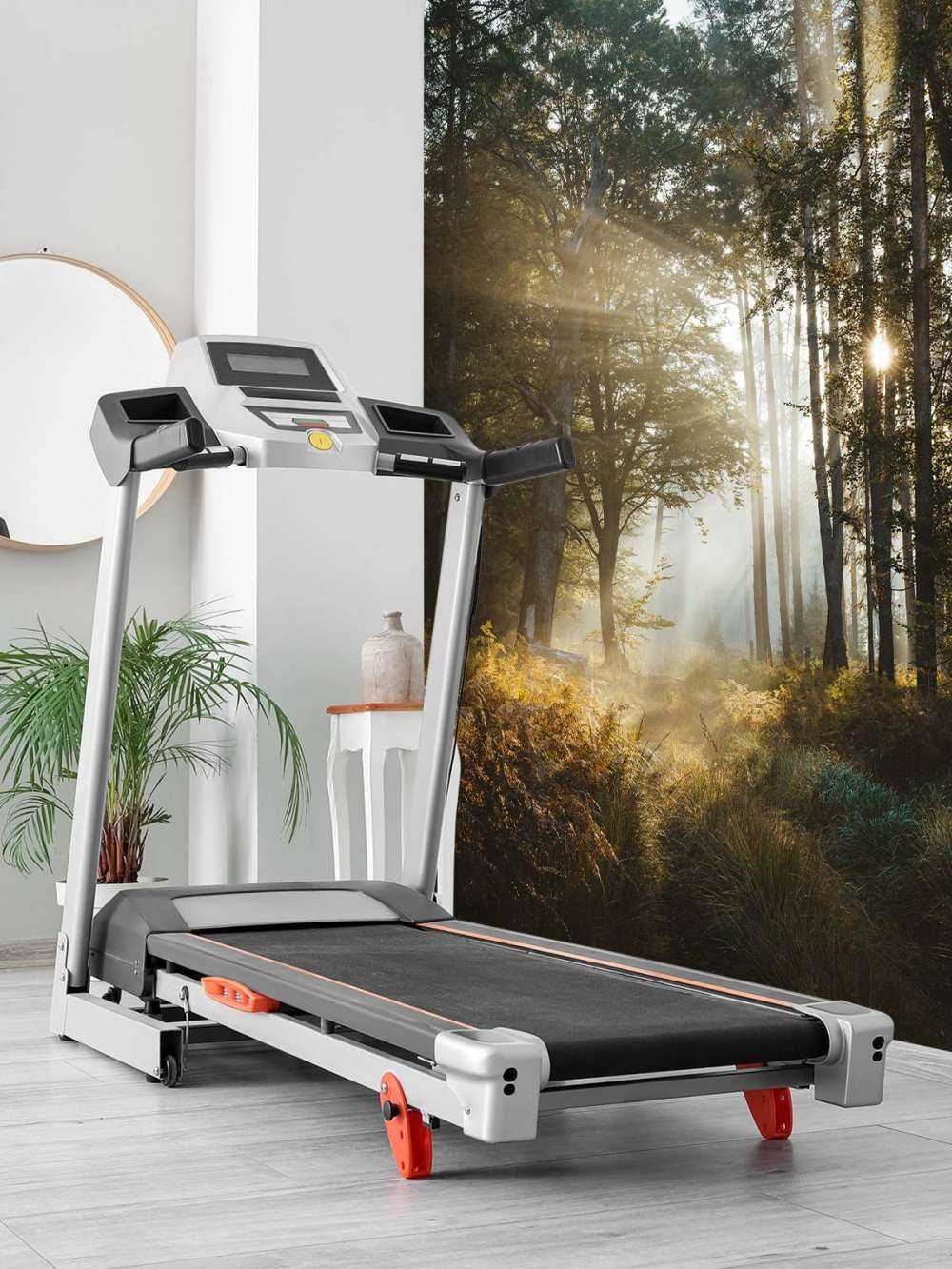 Stralend Ochtendlicht door het Bos