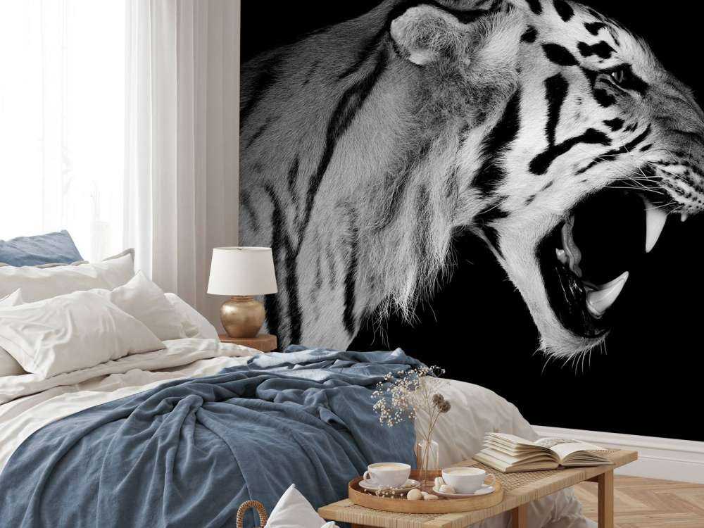 Roaring tiger black