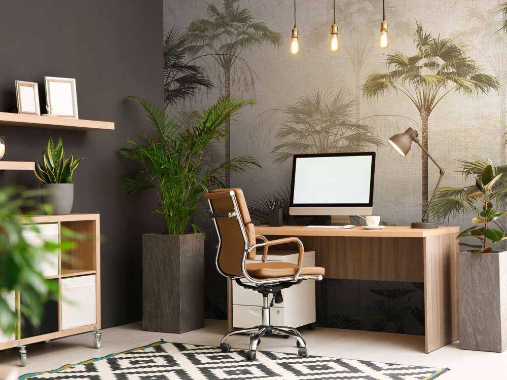 Verstilde Palm Sereniteit