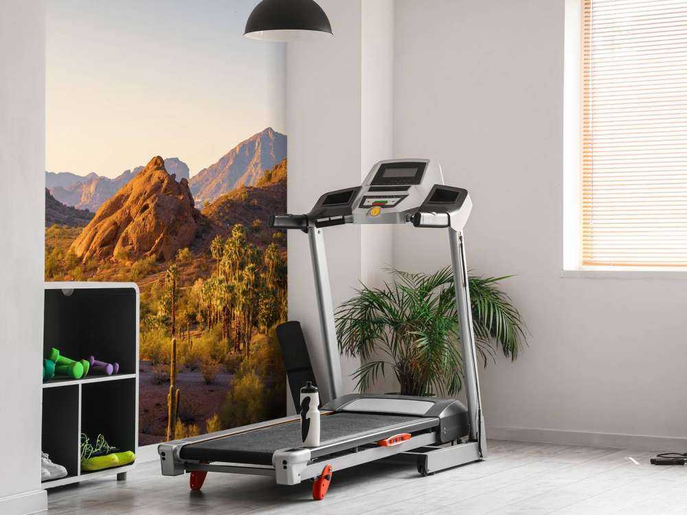 Woestijnlandschap met cactussen