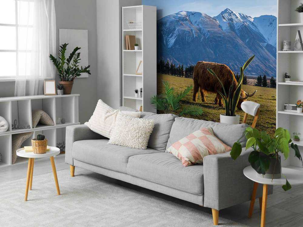 Hooglander met ingesneeuwde bergen