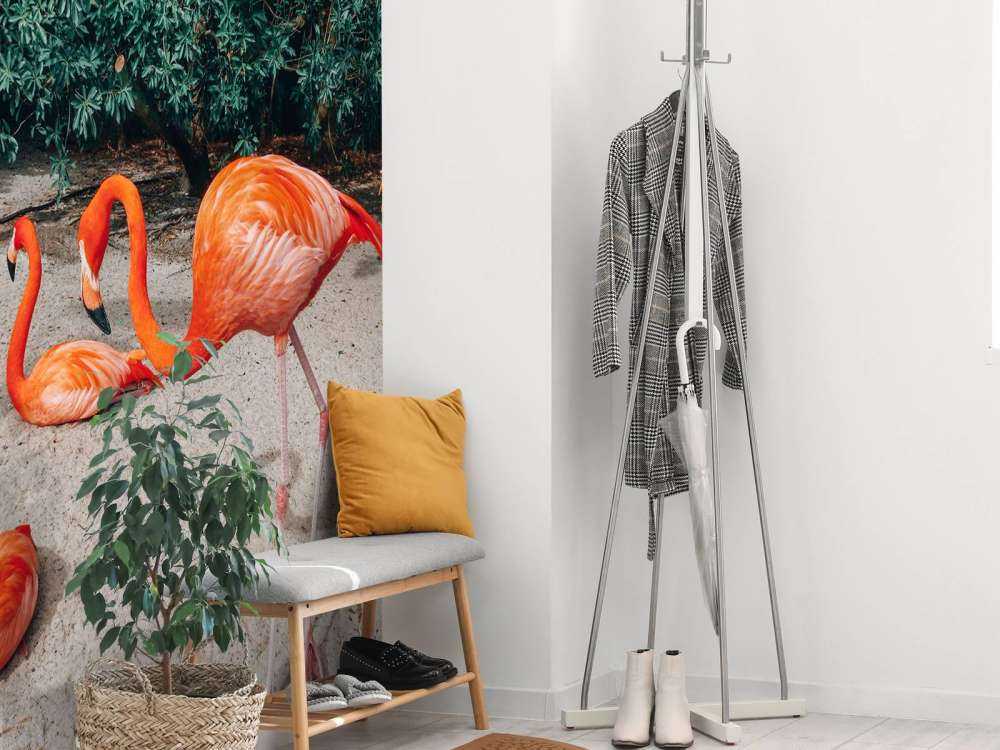 Flamingo's op een Caribisch eiland