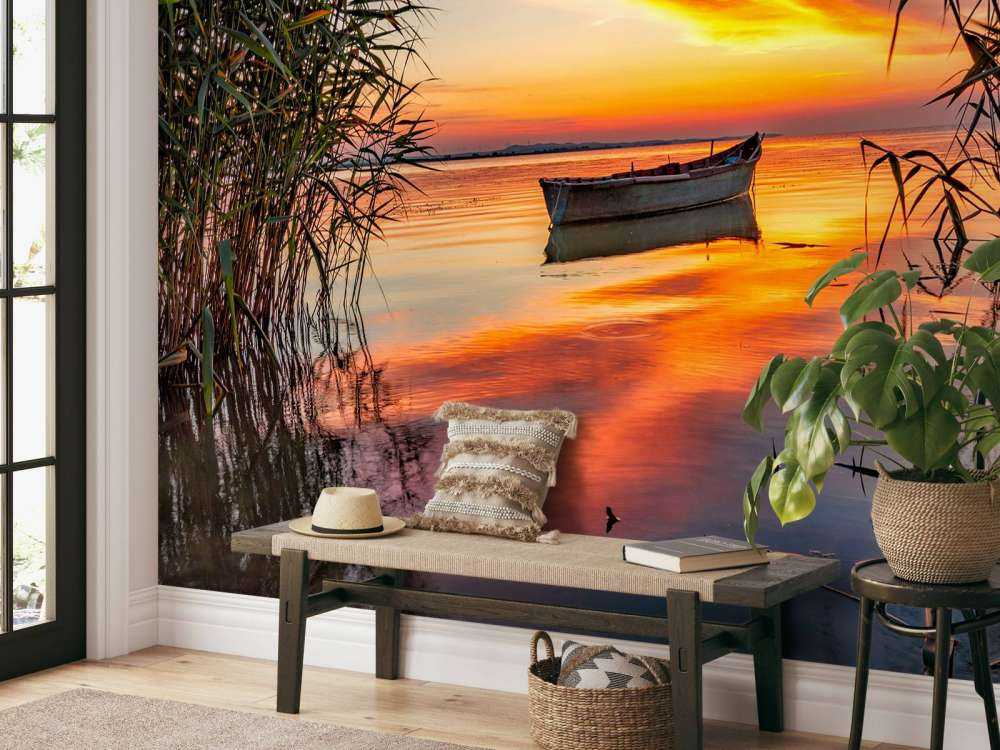 Boot met riet in de avond