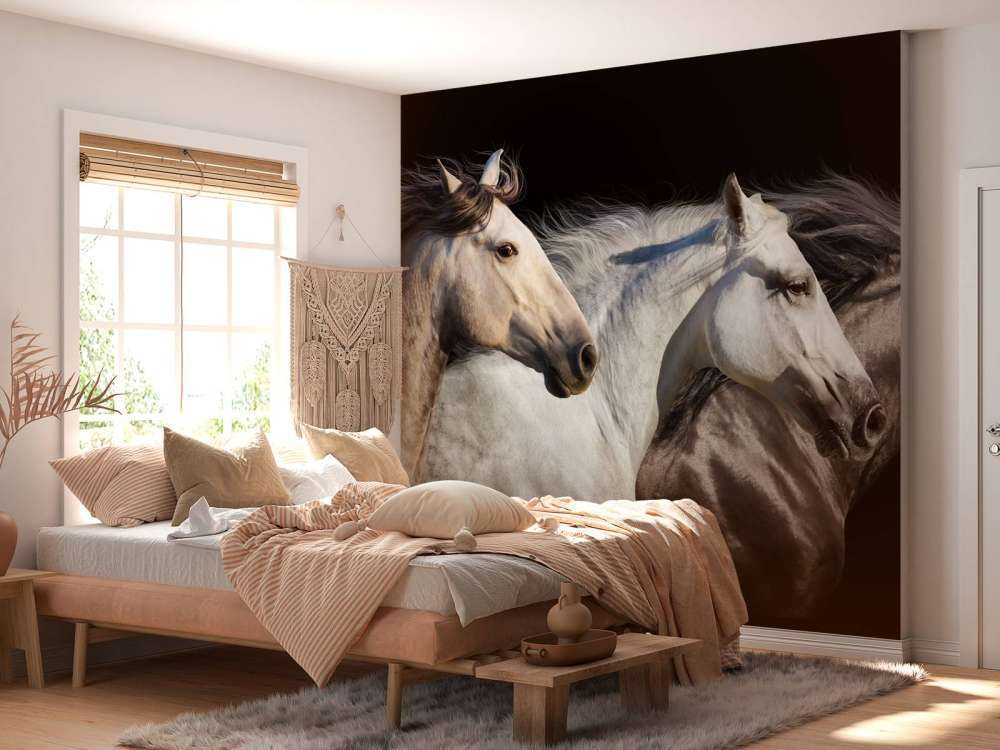 Drie paarden met een zwarte achtergrond