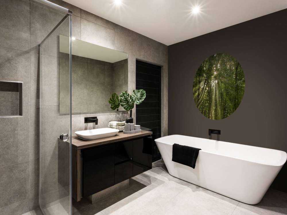 Zonnestralen in het bos