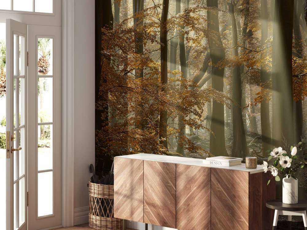 Herfstkleuren in het bos