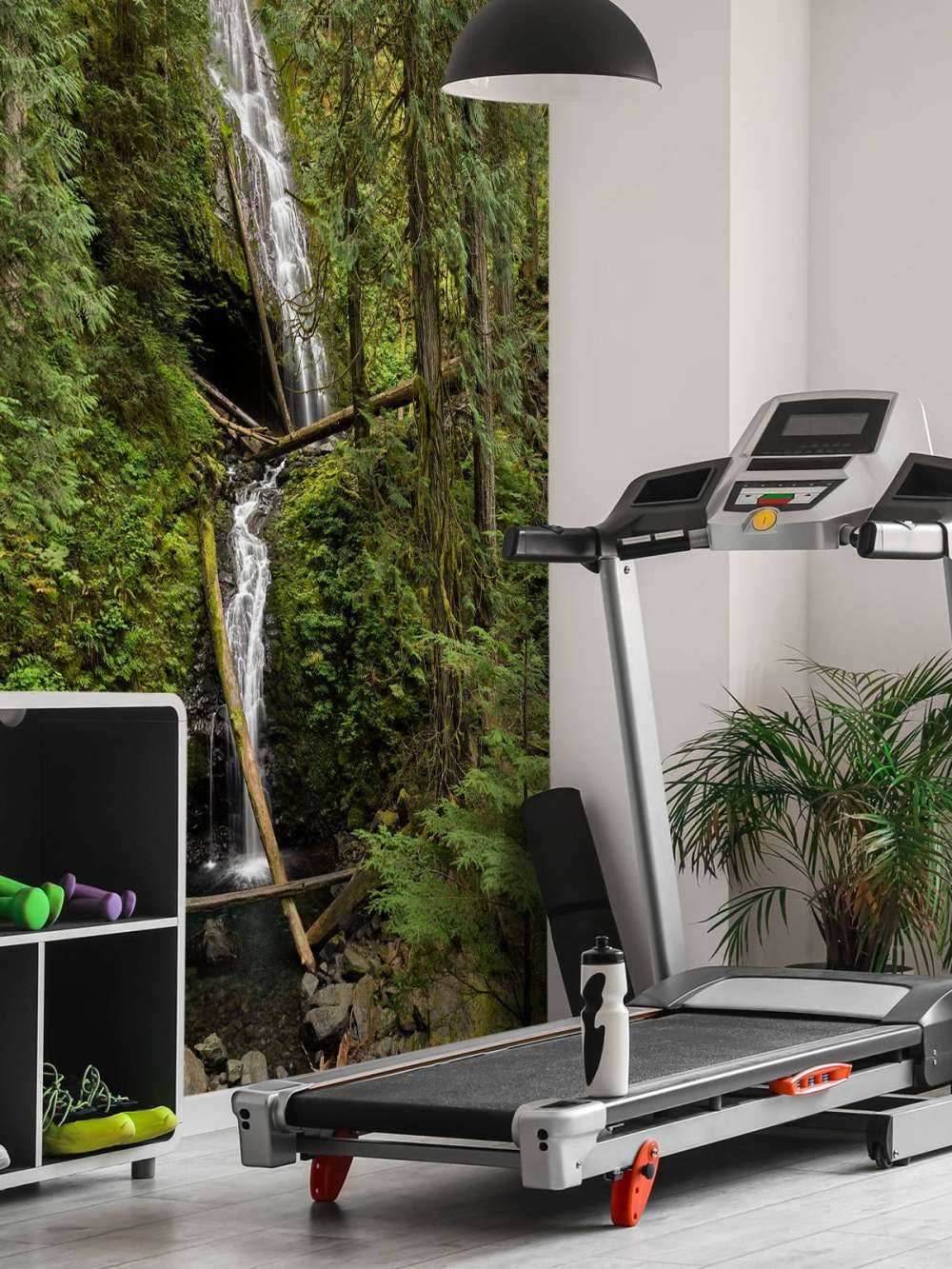 Waterval met omgevallen bomen