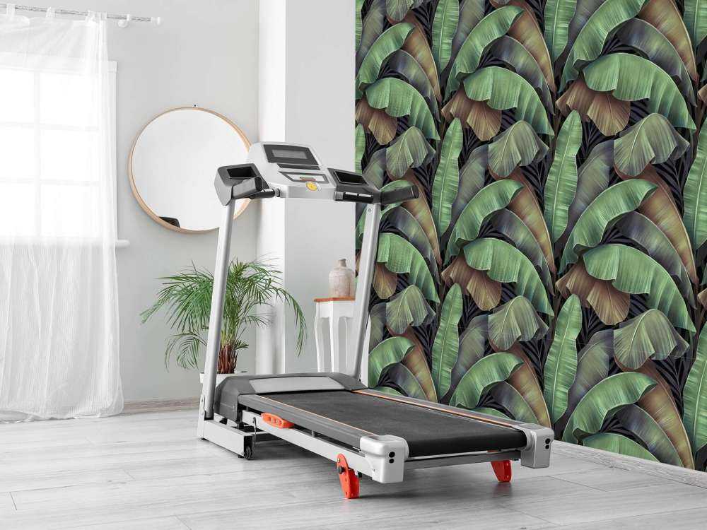 Luxe bananenbladeren