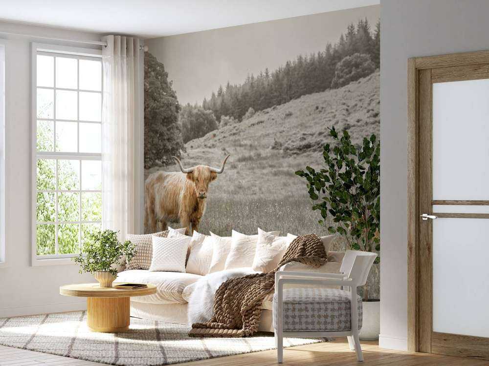 Schotse hooglander met kalf