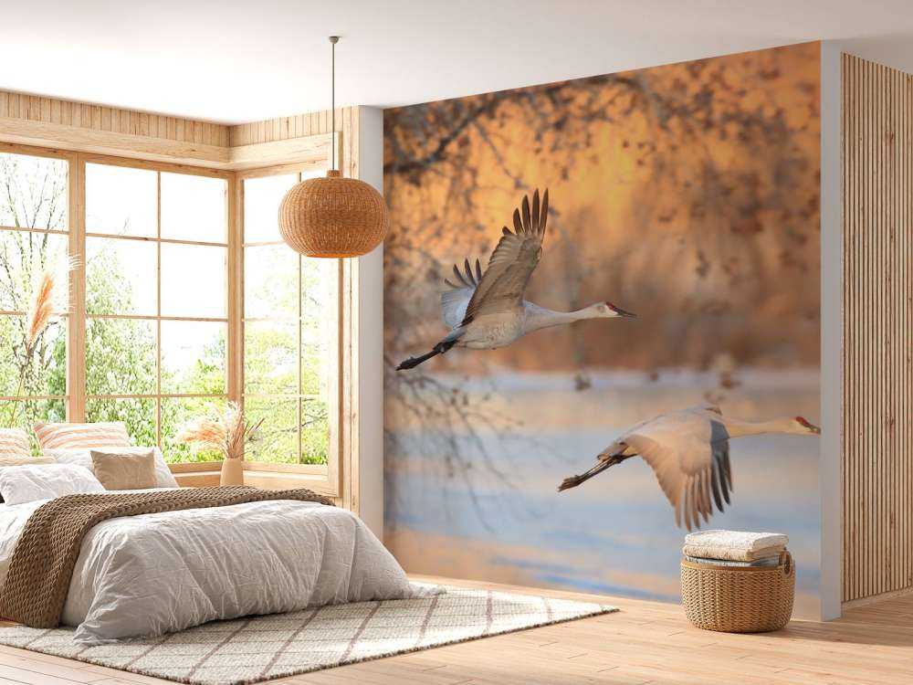 Vliegende kraanvogels