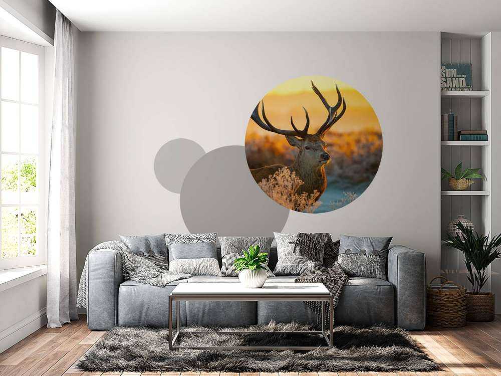 Hert in natuurgebied