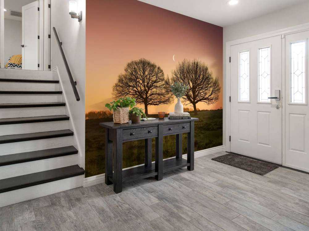 Maantje tussen de bomen