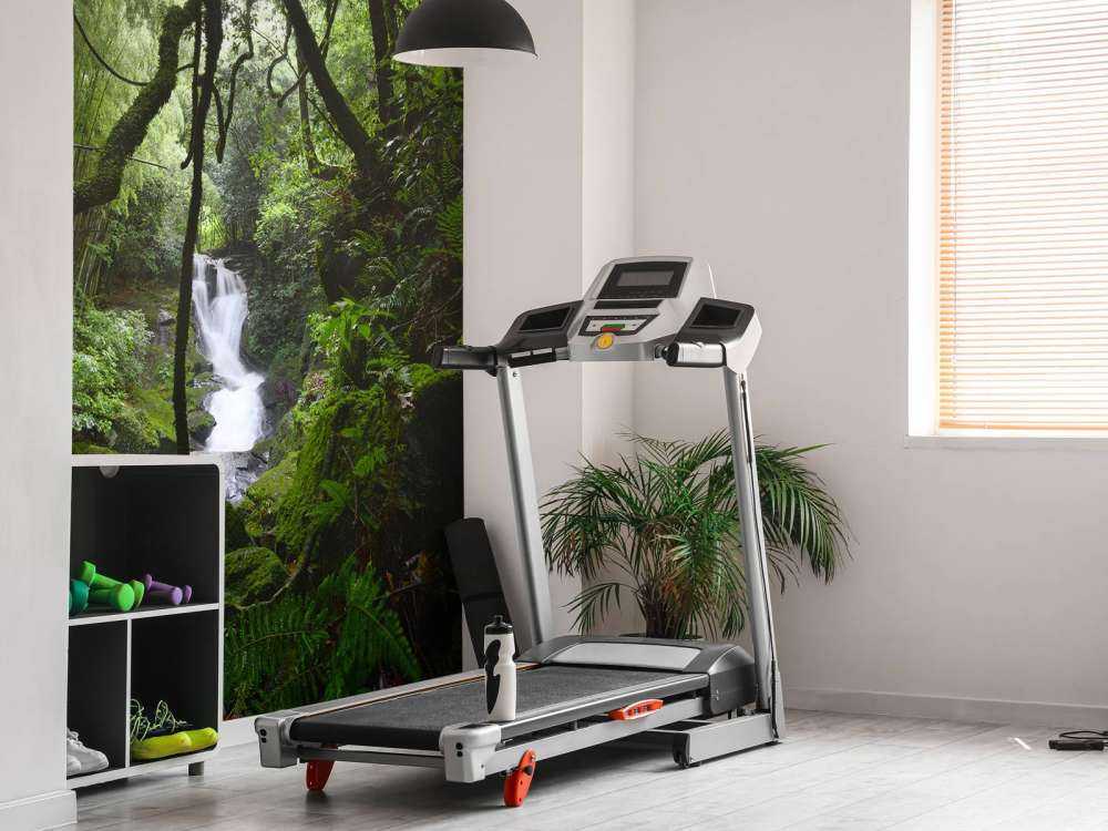 Waterval omgeven door bomen