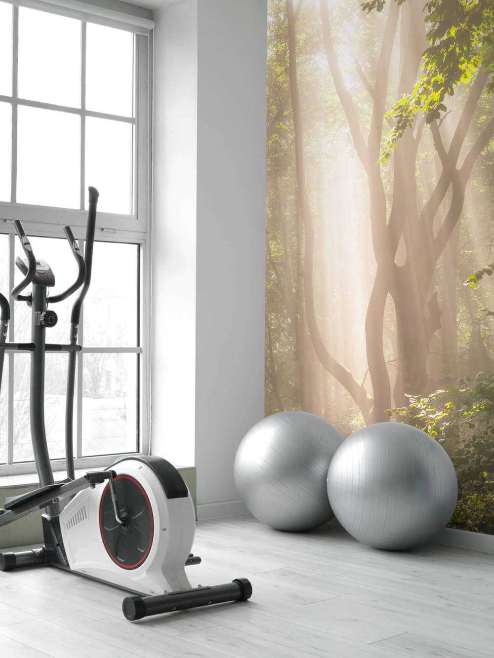 Kronkelende boom in het bos