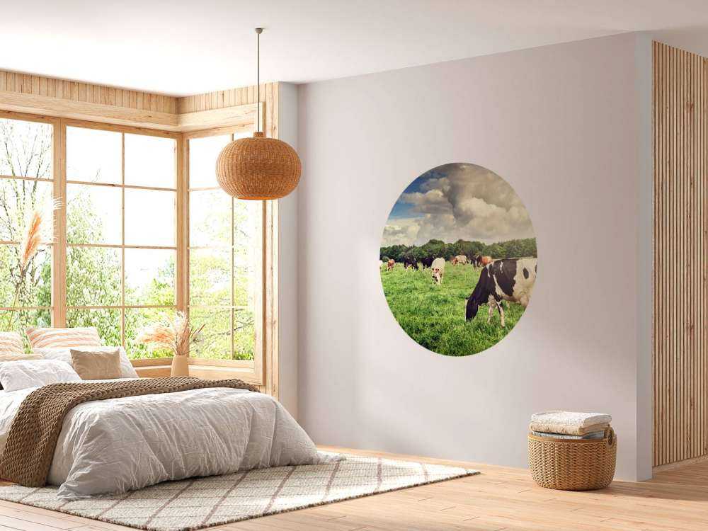 Koeien grazen in weide