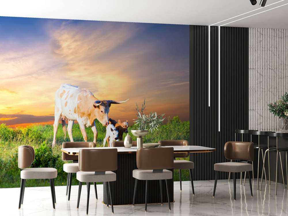 Koe en Kalf zonsondergang