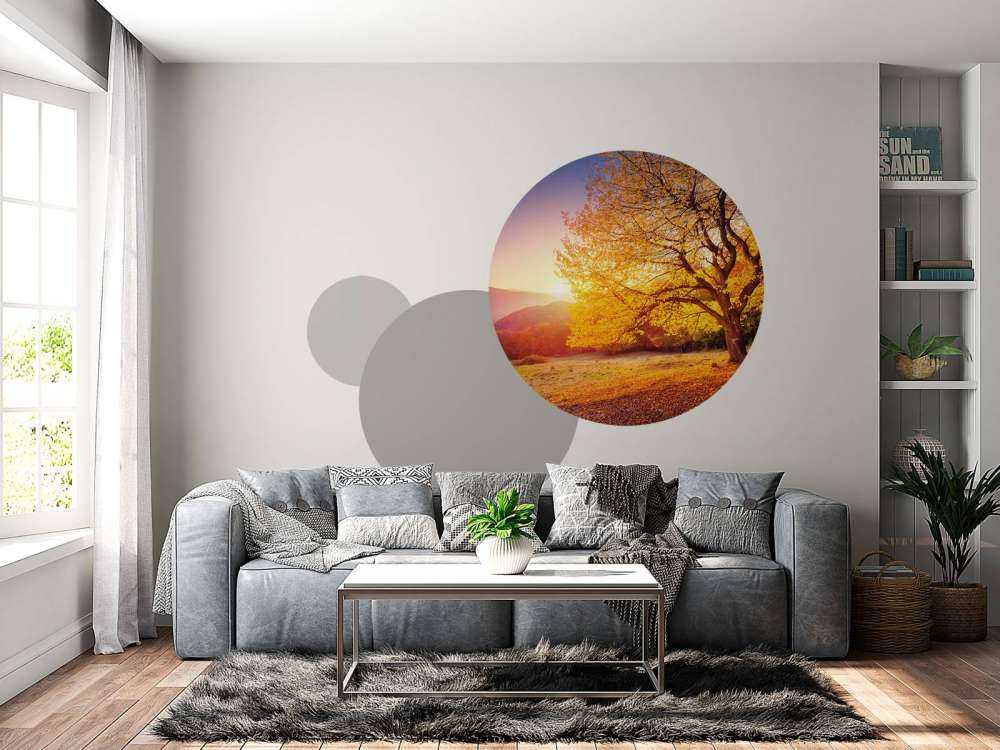 Prachtige beukenboom in de herfst