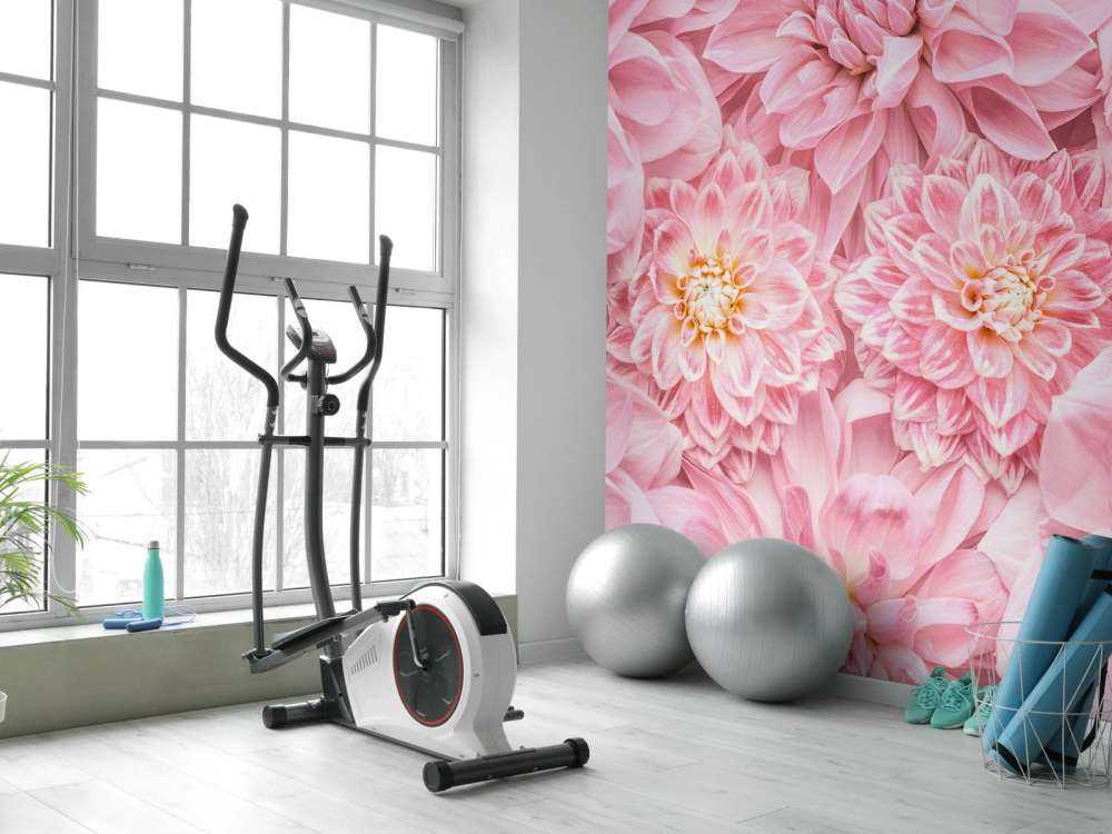 Roze bloemen met een gele kern