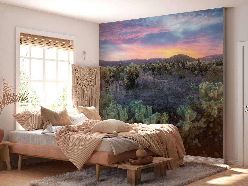 Cactusveld bij zonsondergang