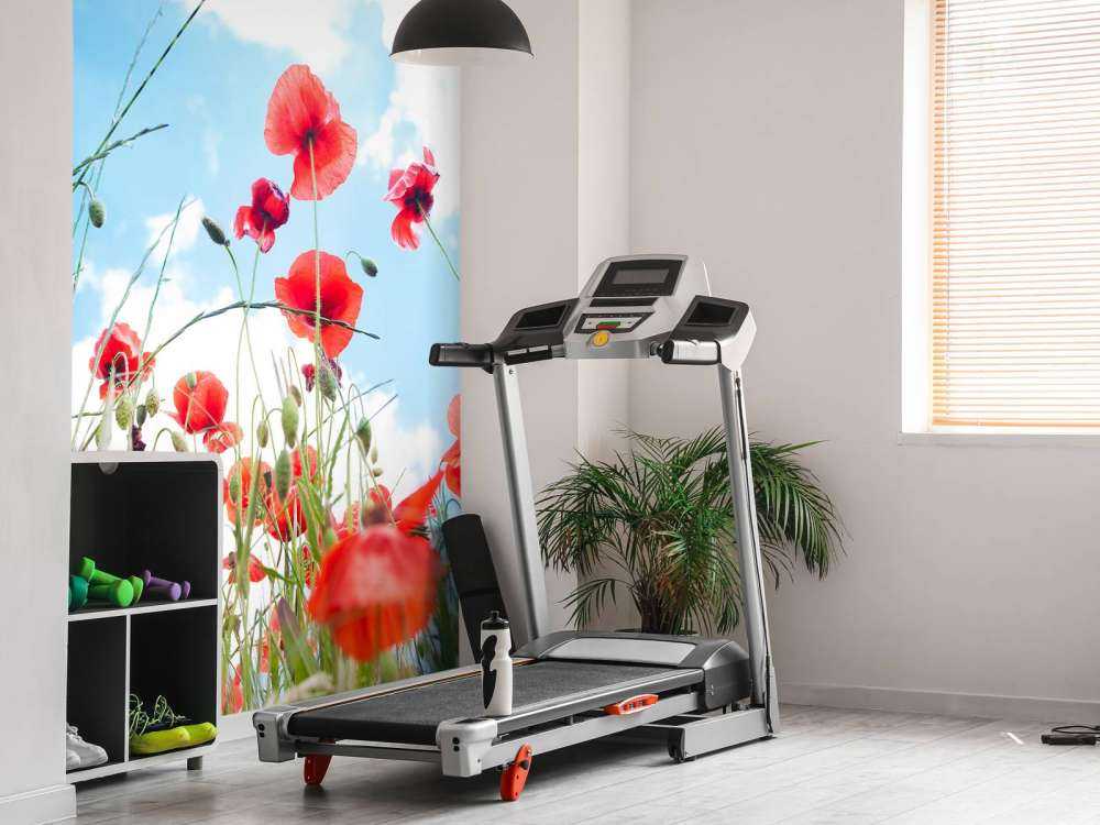 Klaprozen in het voorjaar