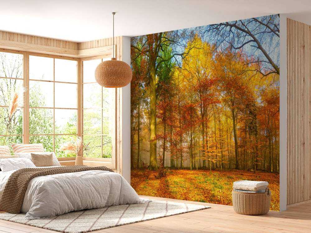 Kleurrijk bospanorama