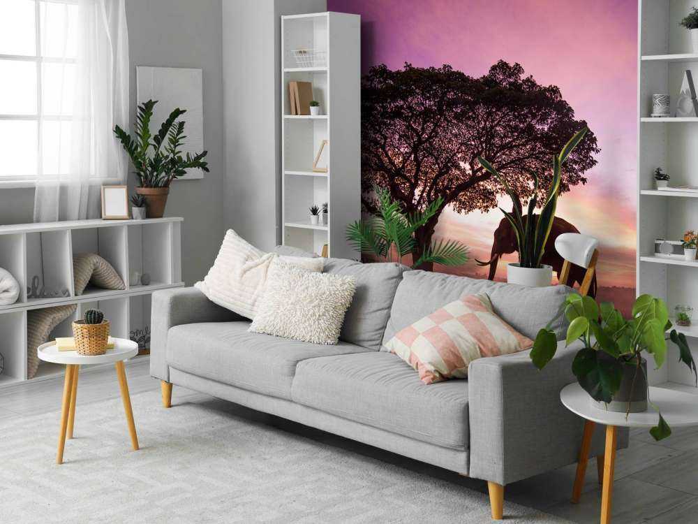 Olifant bij een unieke zonsondergang