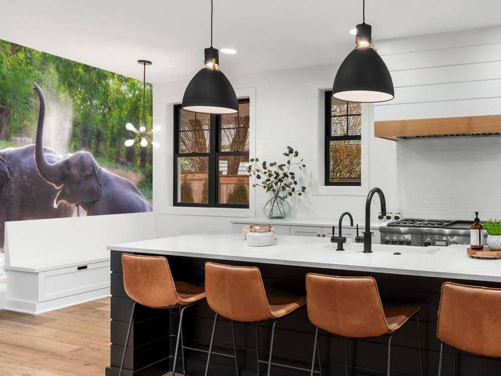 olifanten spelen in het water