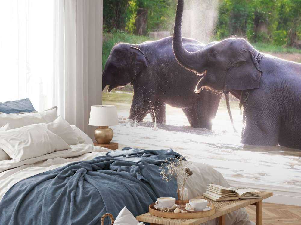 olifanten spelen in het water