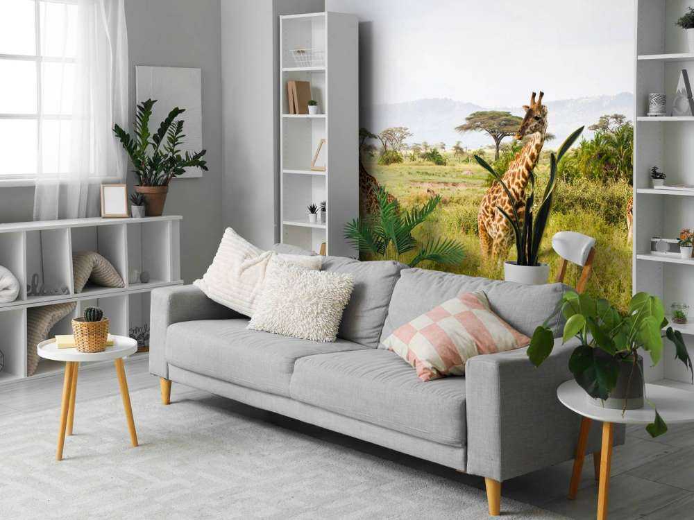 Giraffen in Tanzania